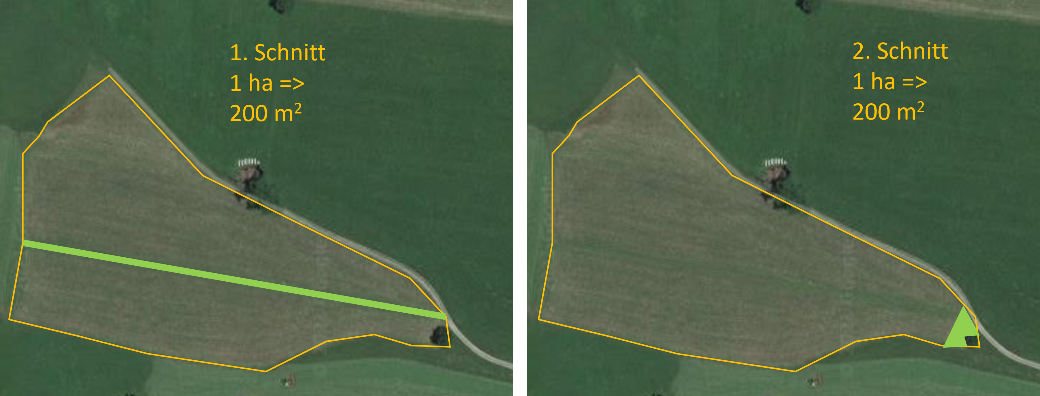 Beispiel%20Reststreifen